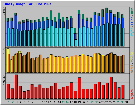 Daily usage for June 2024