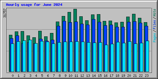 Hourly usage for June 2024