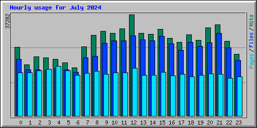 Hourly usage for July 2024