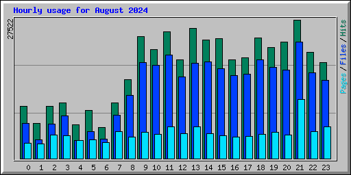 Hourly usage for August 2024