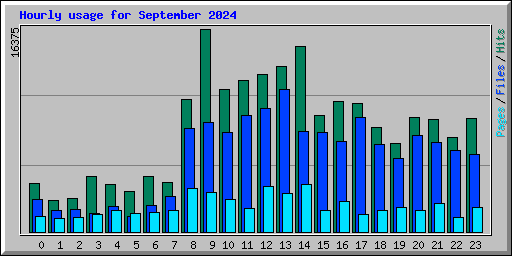 Hourly usage for September 2024